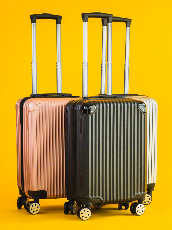 Travel Bag